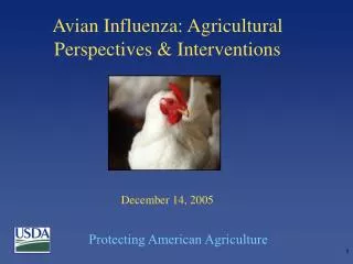 Avian Influenza: Agricultural Perspectives &amp; Interventions