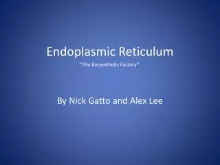 Endoplasmic Reticulum