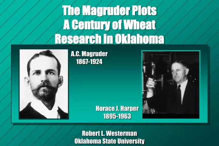 the magruder plots a century of wheat research in oklahoma