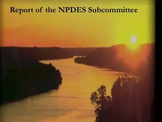 Report of the NPDES Subcommittee