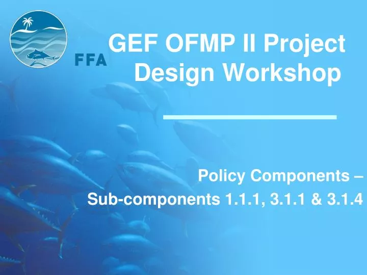 gef ofmp ii project design workshop