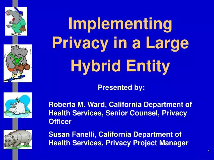 implementing privacy in a large hybrid entity