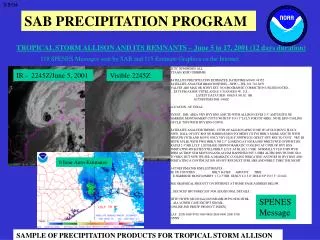 SAMPLE OF PRECIPITATION PRODUCTS FOR TROPICAL STORM ALLISON