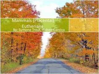 Mammals (Placental) 	Eutherians