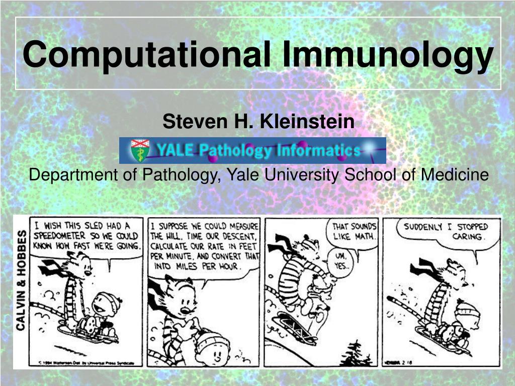 PPT - Computational Immunology PowerPoint Presentation, free download ...