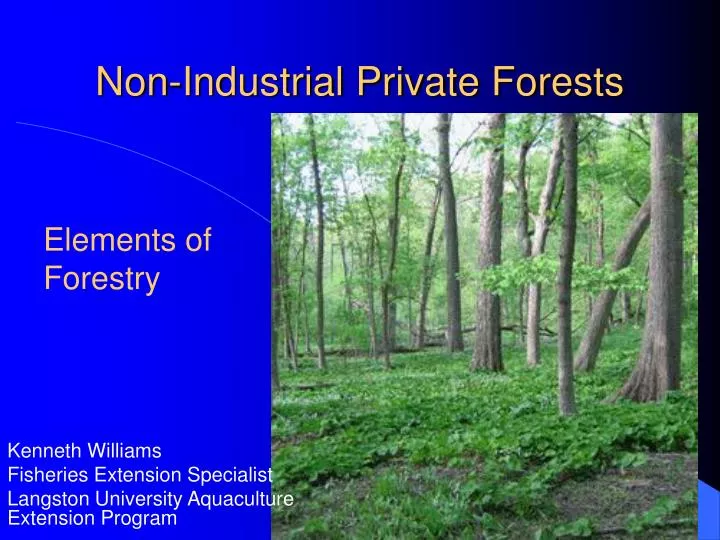 non industrial private forests