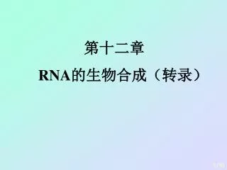 ???? RNA ?????????