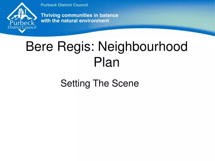 bere regis neighbourhood plan