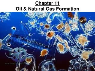 Chapter 11 Oil &amp; Natural Gas Formation