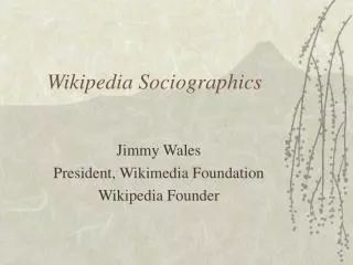 Wikipedia Sociographics