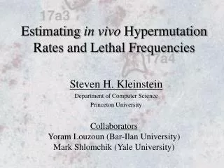 Estimating in vivo Hypermutation Rates and Lethal Frequencies