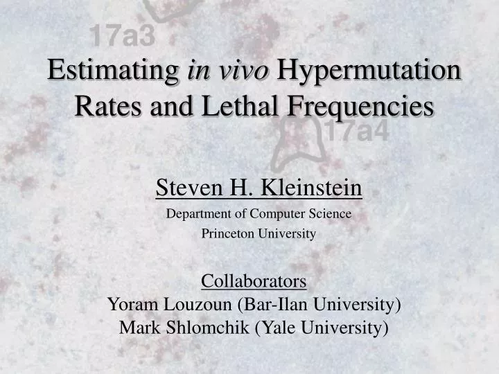 estimating in vivo hypermutation rates and lethal frequencies