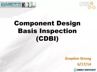 Component Design Basis Inspection (CDBI)