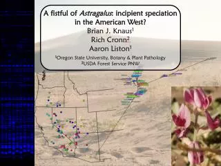 A fistful of Astragalus : incipient speciation in the American West? Brian J. Knaus 1