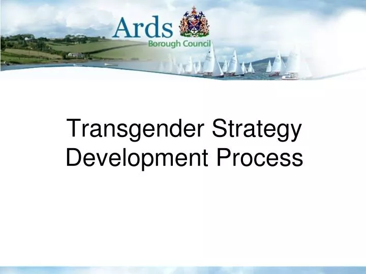transgender strategy development process