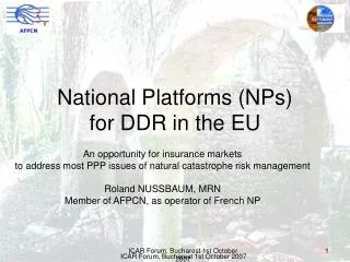 National Platforms (NPs) for DDR in the EU