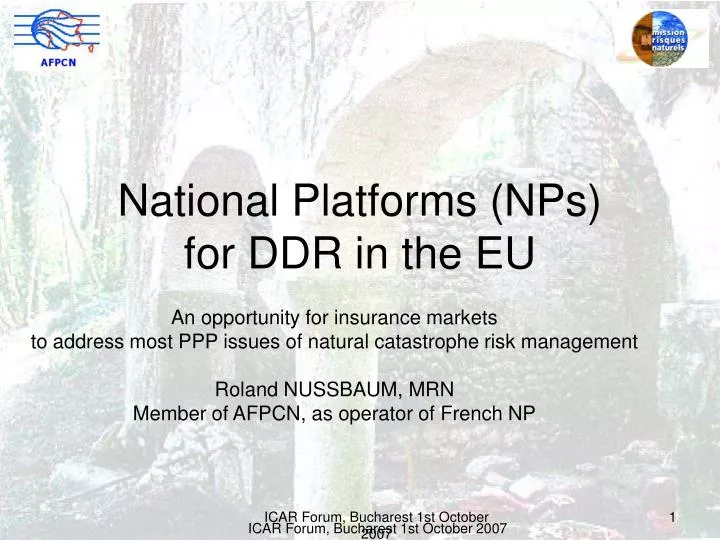 national platforms nps for ddr in the eu