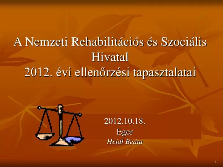 a nemzeti rehabilit ci s s szoci lis hivatal 2012 vi ellen rz si tapasztalatai