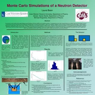 Monte Carlo Simulations of a Neutron Detector