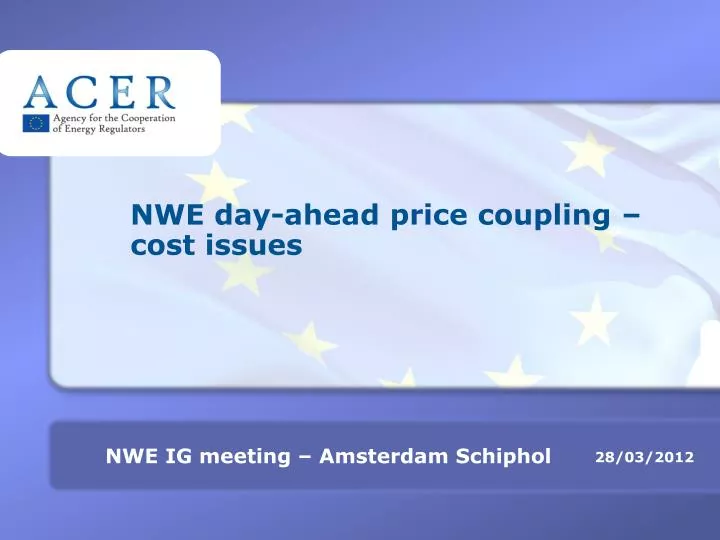 nwe day ahead price coupling cost issues