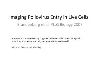 Imaging Poliovirus Entry in Live Cells