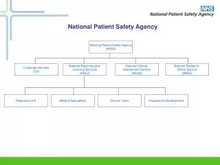 National Patient Safety Agency (NPSA)
