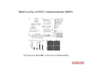 CES Tooley et al . Nature 000 , 1 - 4 (2010) doi:10.1038/nature0 9343