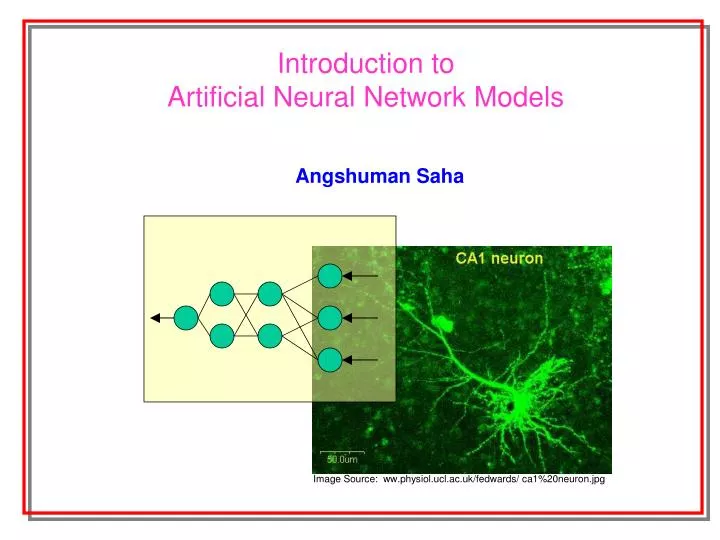 image source ww physiol ucl ac uk fedwards ca1 20neuron jpg