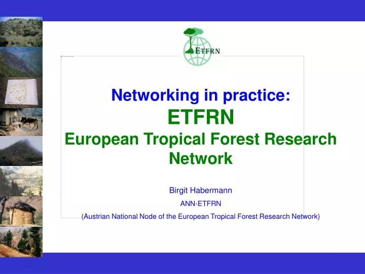 networking in practice etfrn european tropical forest research network