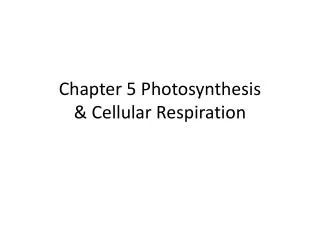 Chapter 5 Photosynthesis &amp; Cellular Respiration