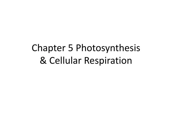 chapter 5 photosynthesis cellular respiration