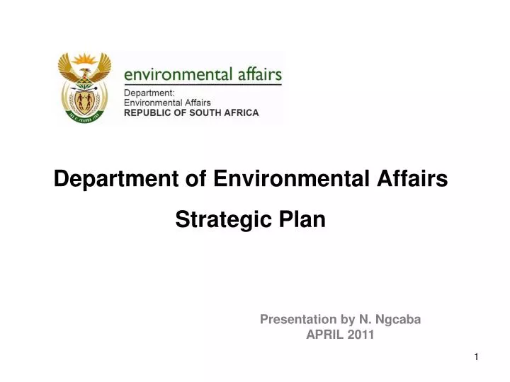 department of environmental affairs strategic plan