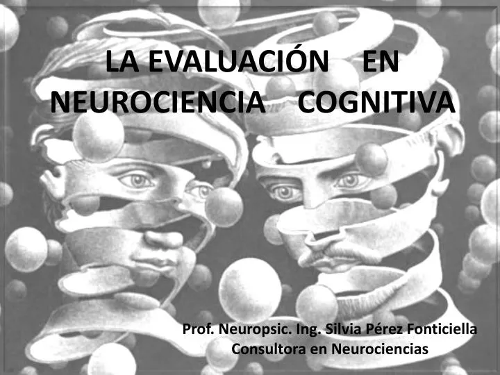 la evaluaci n en neurociencia cognitiva