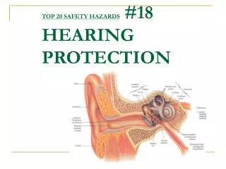 TOP 20 SAFETY HAZARDS #18 HEARING PROTECTION