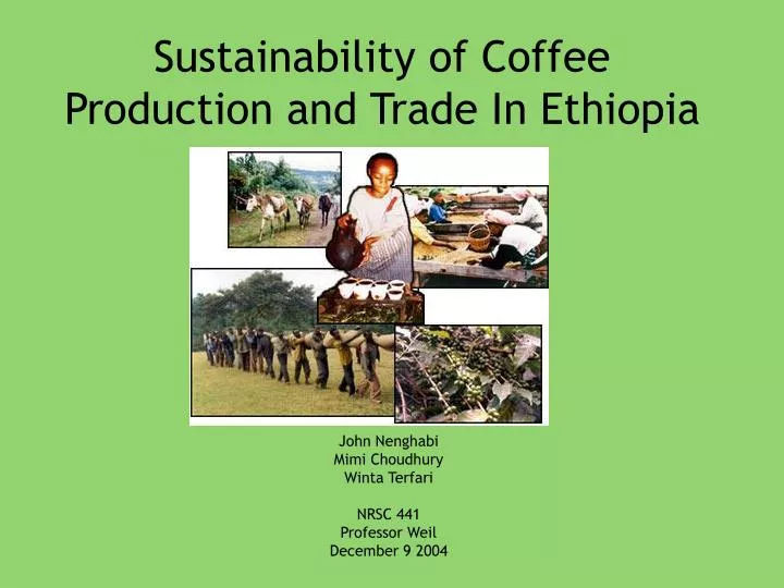 sustainability of coffee production and trade in ethiopia