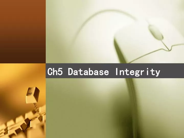 ch5 database integrity