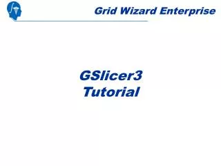 Grid Wizard Enterprise