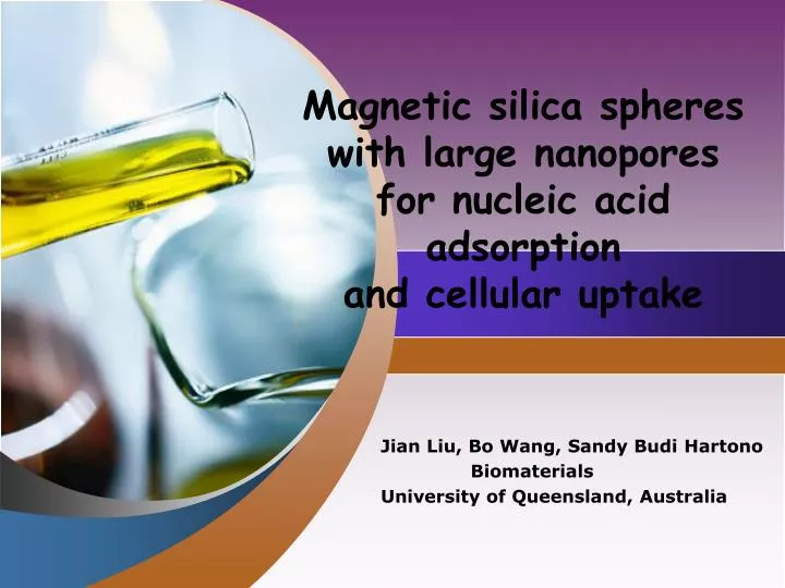 magnetic silica spheres with large nanopores for nucleic acid adsorption and cellular uptake