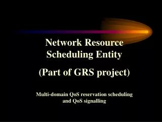 Network Resource Scheduling Entity (Part of GRS project)