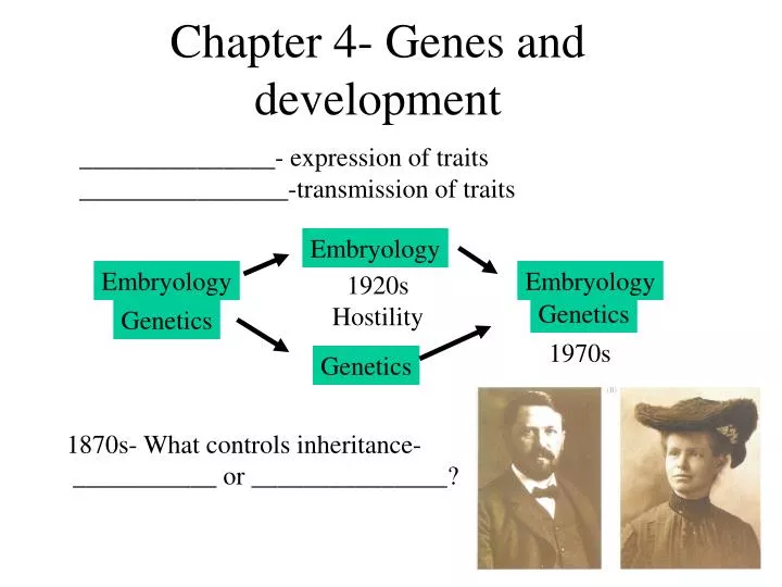 chapter 4 genes and development