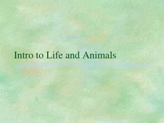 Intro to Life and Animals