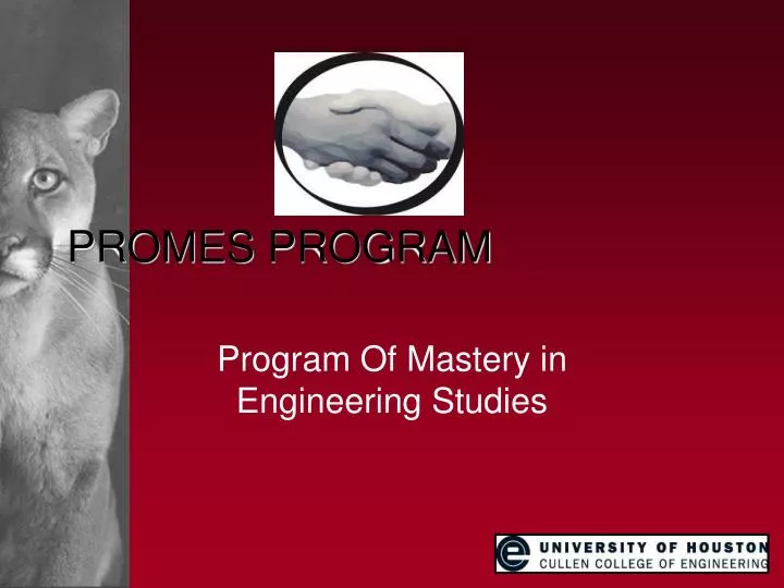 promes program