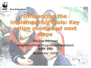 Influencing the implementing tools: Key action points and next steps