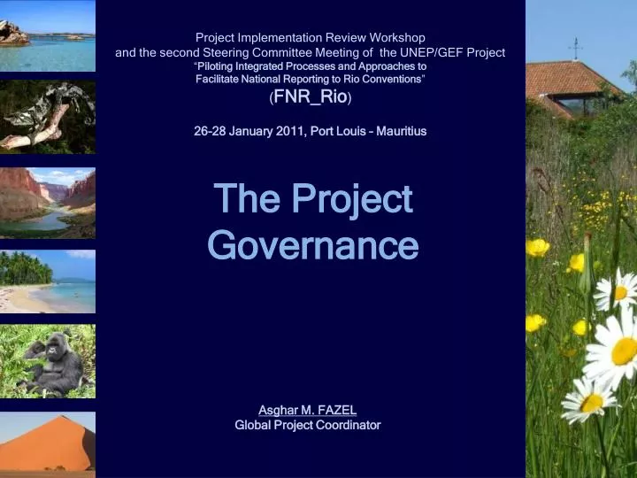 the project governance