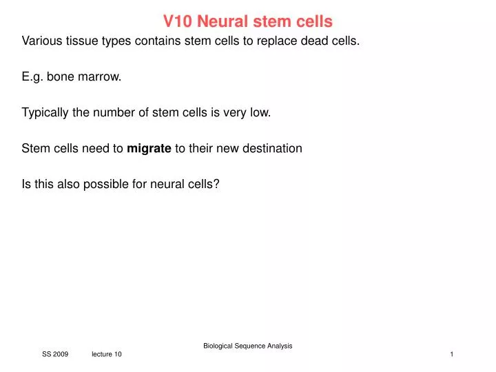 v10 neural stem cells
