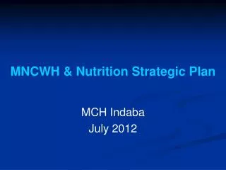 MNCWH &amp; Nutrition Strategic Plan