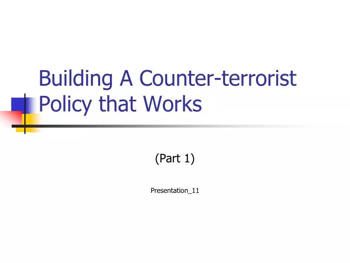 building a counter terrorist policy that works