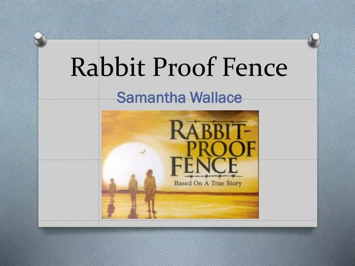 rabbit proof fence