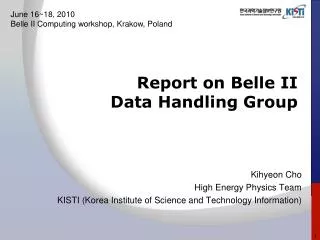 Report on Belle II Data Handling Group