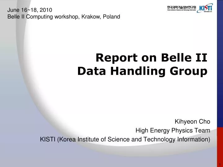 report on belle ii data handling group